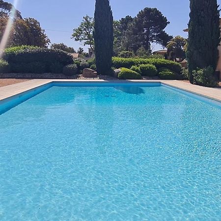 Mini Villa Messicana 5 Pers Piscine 500 M Plage Lecci Kültér fotó
